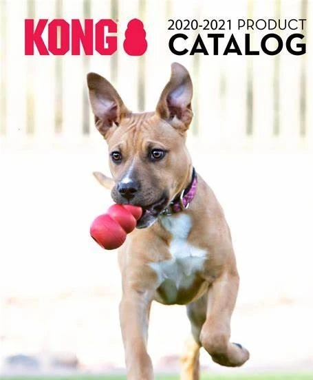Kong