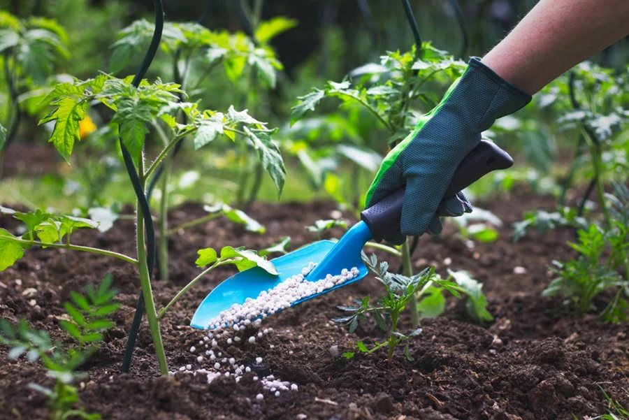 Soil & Fertilizers