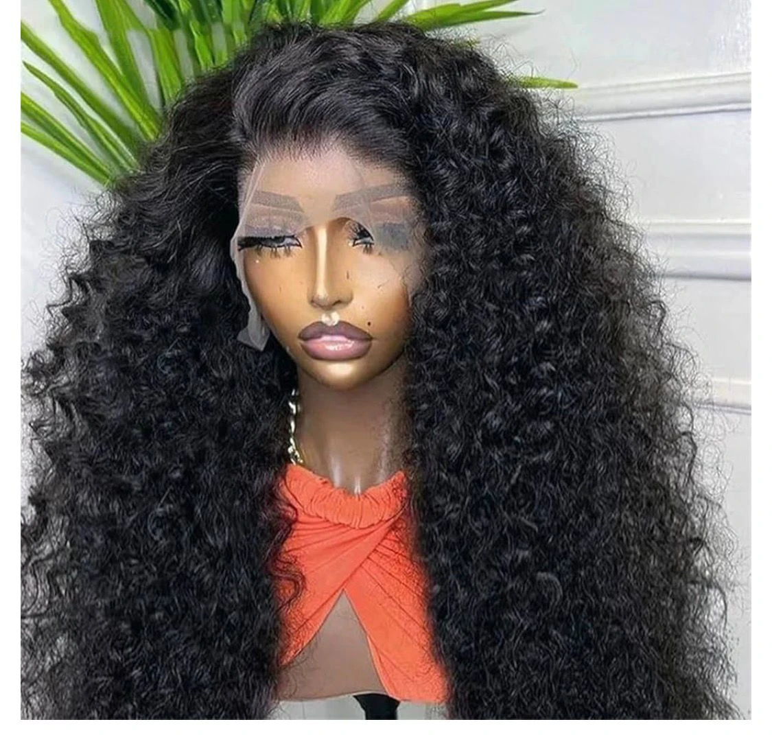 Women's Transparent 13X4 13X6 HD Water Wave Lace Front Wigs Curly Human Hair Wig