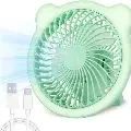 Desk Fan Lamp